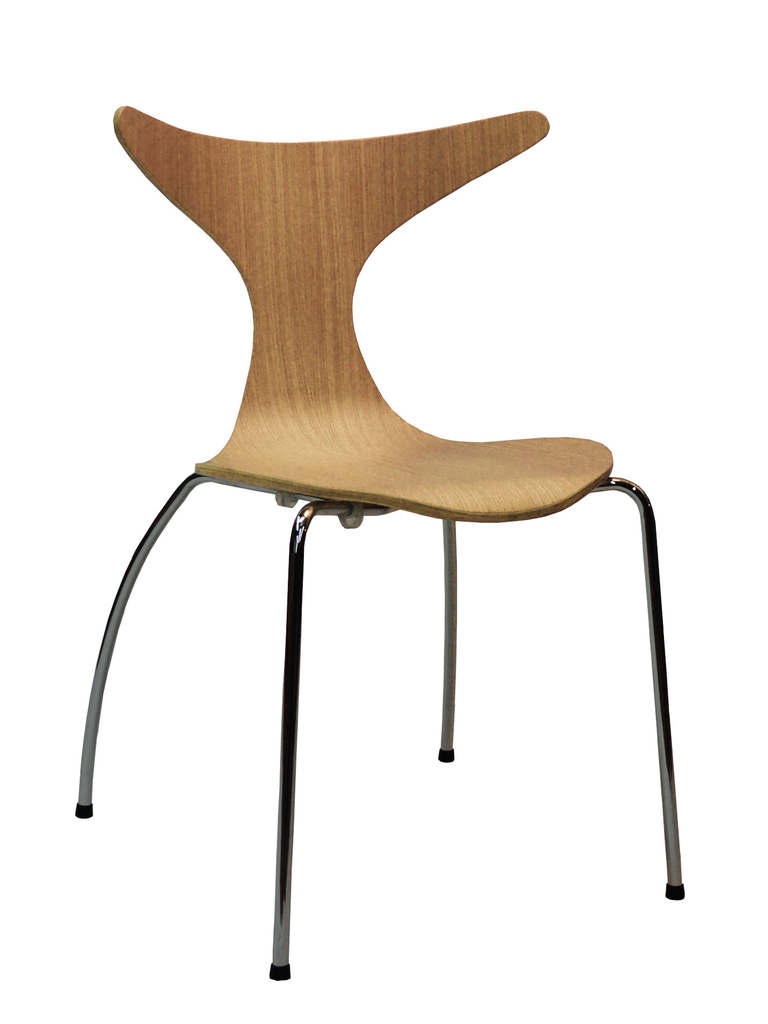 [1027.19] Dolphin (Buche)